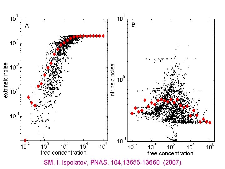 SM, I. Ispolatov, PNAS, 104, 13655 -13660 (2007) 