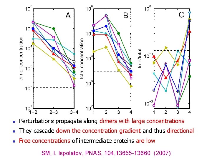 n Perturbations propagate along dimers with large concentrations n They cascade down the concentration