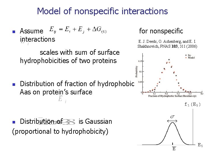 Model of nonspecific interactions n Assume interactions scales with sum of surface hydrophobicities of