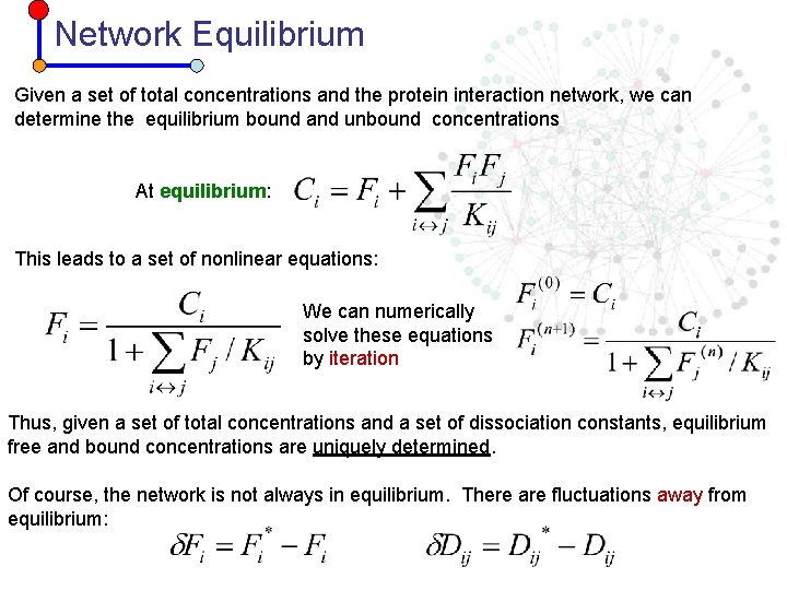 Network Equilibrium Given a set of total concentrations and the protein interaction network, we