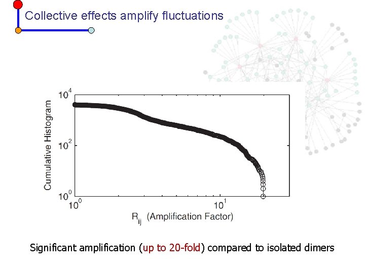 Collective effects amplify fluctuations Significant amplification (up to 20 -fold) compared to isolated dimers