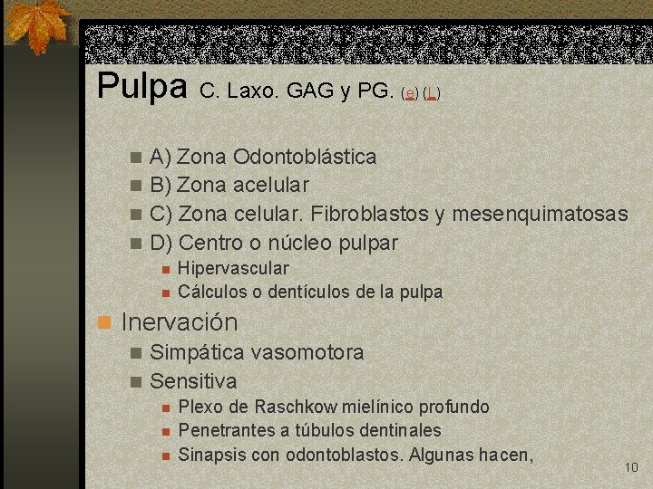 Pulpa C. Laxo. GAG y PG. (e) (L) A) Zona Odontoblástica n B) Zona