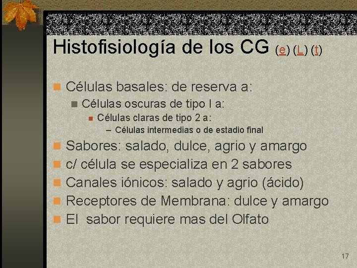 Histofisiología de los CG (e) (L) (t) n Células basales: de reserva a: n