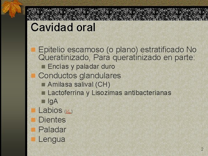 Cavidad oral n Epitelio escamoso (o plano) estratificado No Queratinizado, Para queratinizado en parte: