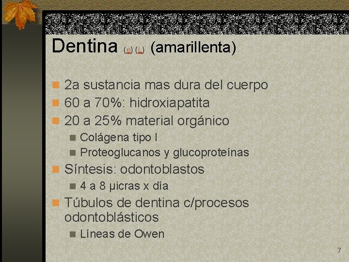 Dentina (e) (L) (amarillenta) n 2 a sustancia mas dura del cuerpo n 60