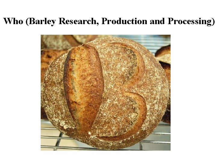 Who (Barley Research, Production and Processing) 