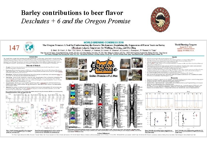 Barley contributions to beer flavor Deschutes + 6 and the Oregon Promise 