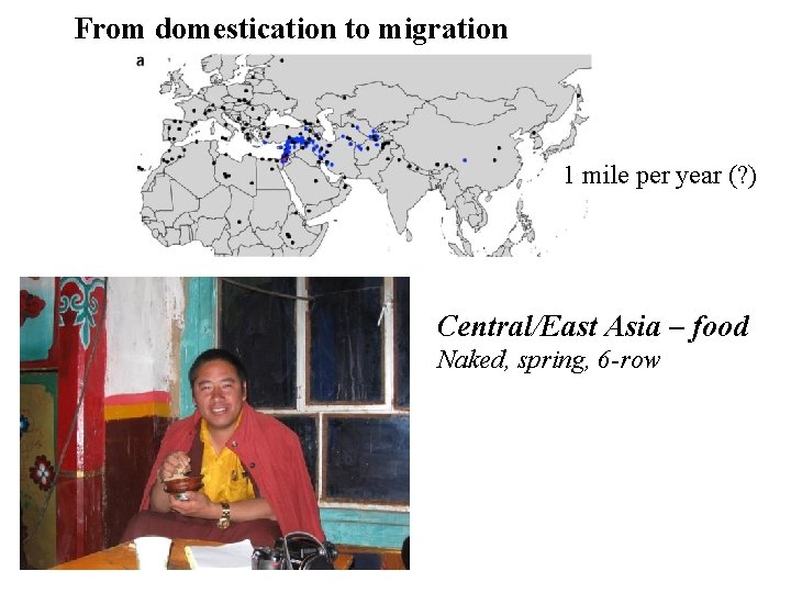 From domestication to migration 1 mile per year (? ) Central/East Asia – food