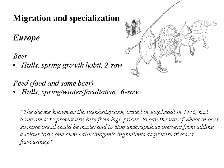 Migration and specialization Europe Beer • Hulls, spring growth habit, 2 -row Feed (food