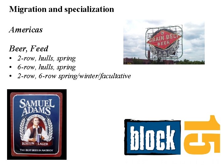Migration and specialization Americas Beer, Feed • 2 -row, hulls, spring • 6 -row,
