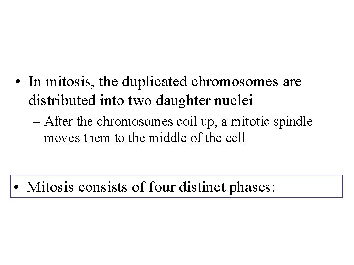  • In mitosis, the duplicated chromosomes are distributed into two daughter nuclei –