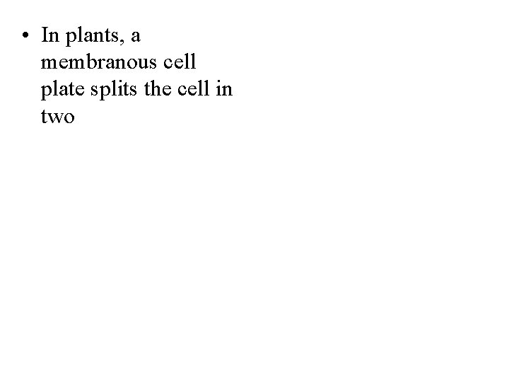  • In plants, a membranous cell plate splits the cell in two 