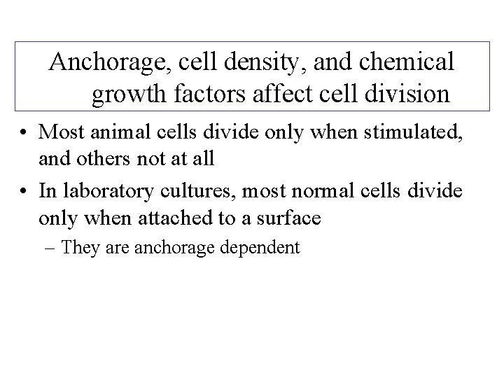Anchorage, cell density, and chemical growth factors affect cell division • Most animal cells