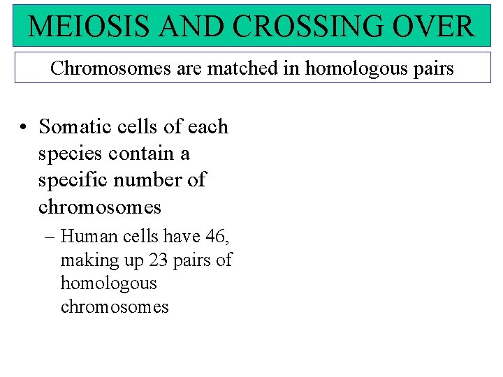MEIOSIS AND CROSSING OVER Chromosomes are matched in homologous pairs • Somatic cells of