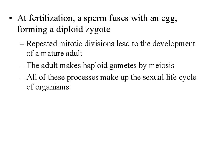  • At fertilization, a sperm fuses with an egg, forming a diploid zygote