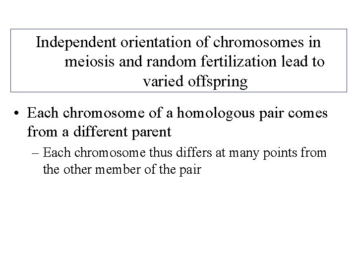 Independent orientation of chromosomes in meiosis and random fertilization lead to varied offspring •