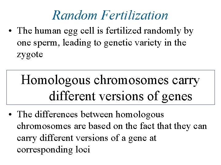 Random Fertilization • The human egg cell is fertilized randomly by one sperm, leading