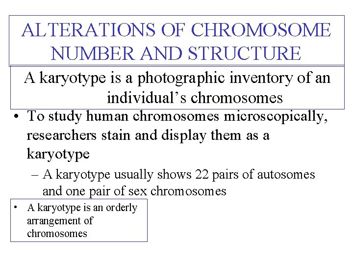 ALTERATIONS OF CHROMOSOME NUMBER AND STRUCTURE A karyotype is a photographic inventory of an