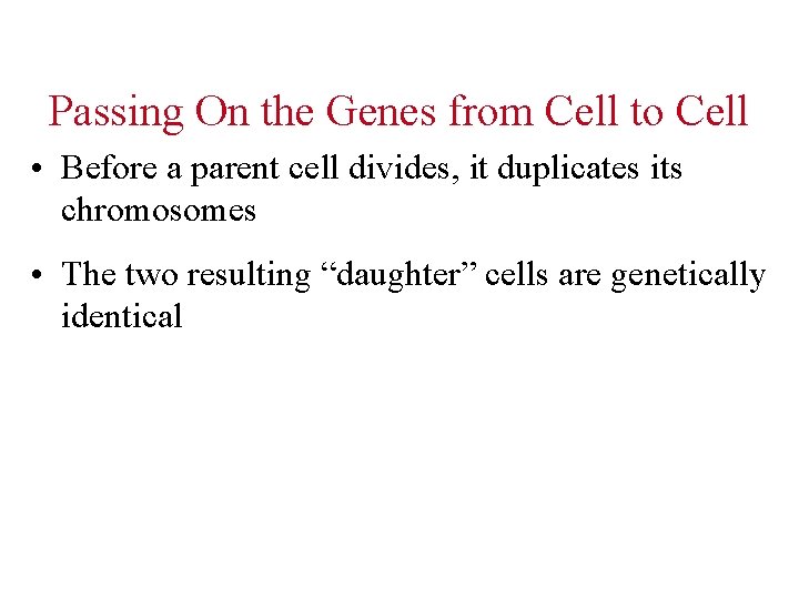 Passing On the Genes from Cell to Cell • Before a parent cell divides,
