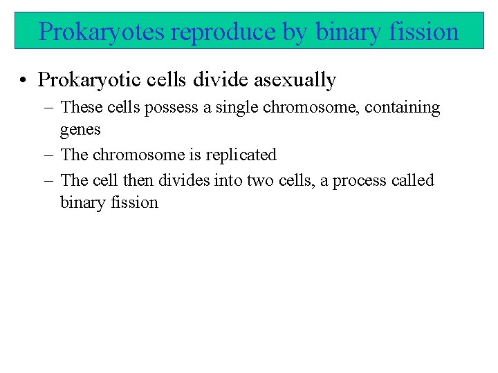 Prokaryotes reproduce by binary fission • Prokaryotic cells divide asexually – These cells possess