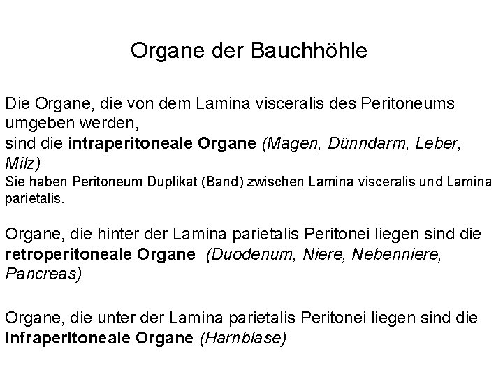 Organe der Bauchhöhle Die Organe, die von dem Lamina visceralis des Peritoneums umgeben werden,