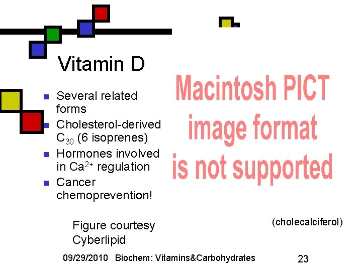 Vitamin D n n Several related forms Cholesterol-derived C 30 (6 isoprenes) Hormones involved