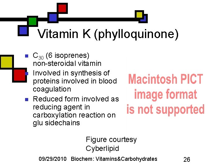 Vitamin K (phylloquinone) n n n C 30 (6 isoprenes) non-steroidal vitamin Involved in