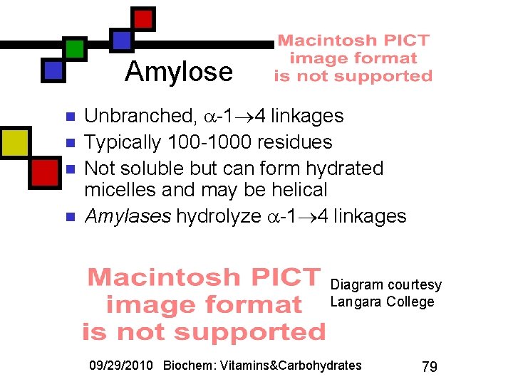 Amylose n n Unbranched, -1 4 linkages Typically 100 -1000 residues Not soluble but