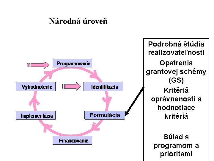 Národná úroveň Formulácia Podrobná štúdia realizovateľnosti Opatrenia grantovej schémy (GS) Kritériá oprávnenosti a hodnotiace