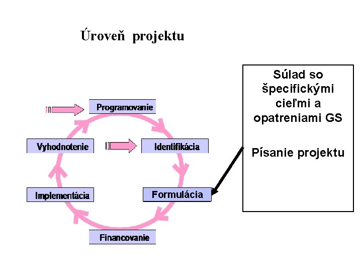 Úroveň projektu Súlad so špecifickými cieľmi a opatreniami GS Písanie projektu Formulácia 