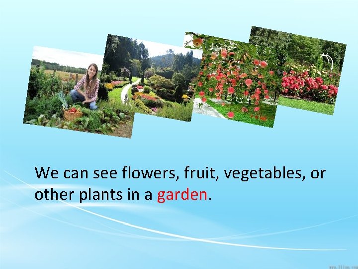 We can see flowers, fruit, vegetables, or other plants in a garden. 