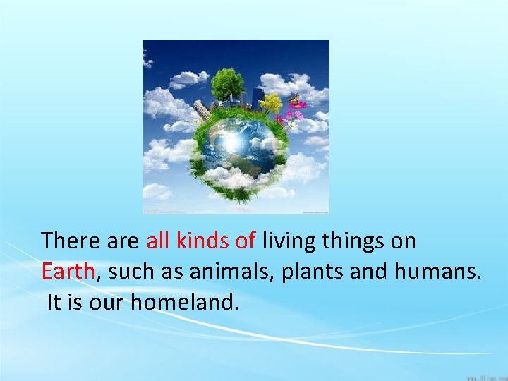 There all kinds of living things on Earth, such as animals, plants and humans.