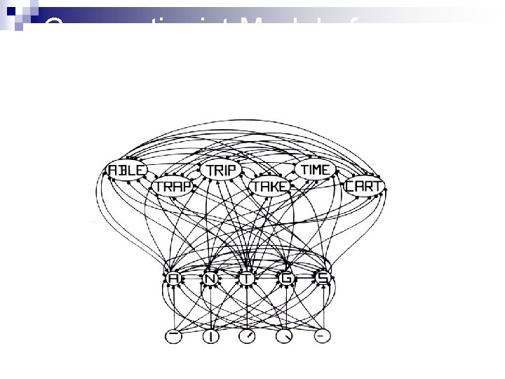 Connectionist Model of Word Recognition (Rumelhart and Mc. Clelland) 