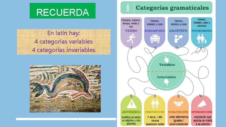 RECUERDA En latín hay: 4 categorías variables 4 categorías invariables 