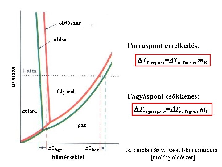 oldószer oldat Forráspont emelkedés: nyomás DTforrpont=DTm, forrás m. B folyadék Fagyáspont csökkenés: DTfagyáspont=DTm, fagyás