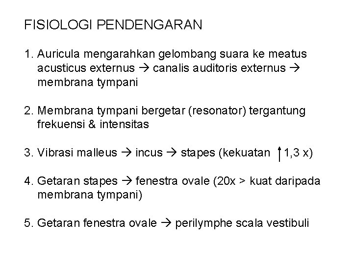 FISIOLOGI PENDENGARAN 1. Auricula mengarahkan gelombang suara ke meatus acusticus externus canalis auditoris externus