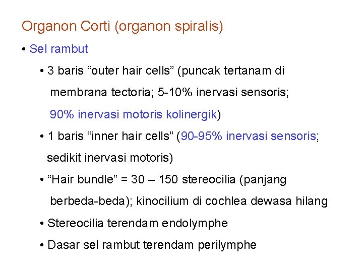 Organon Corti (organon spiralis) • Sel rambut • 3 baris “outer hair cells” (puncak