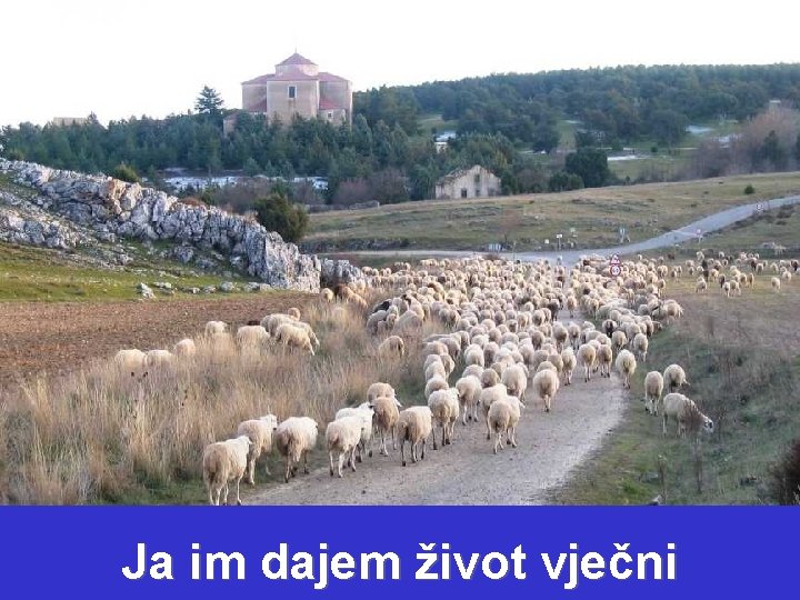 Ja im dajem život vječni 