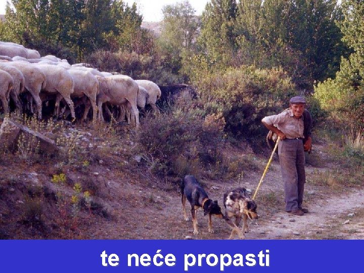 te neće propasti 