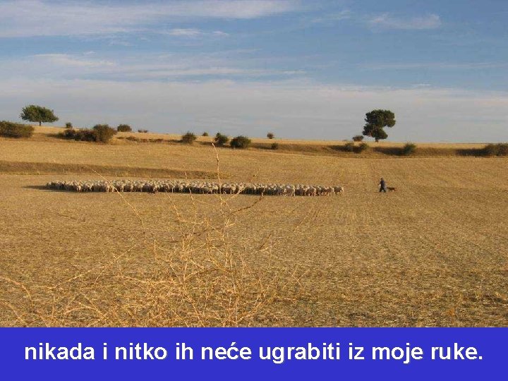 nikada i nitko ih neće ugrabiti iz moje ruke. 