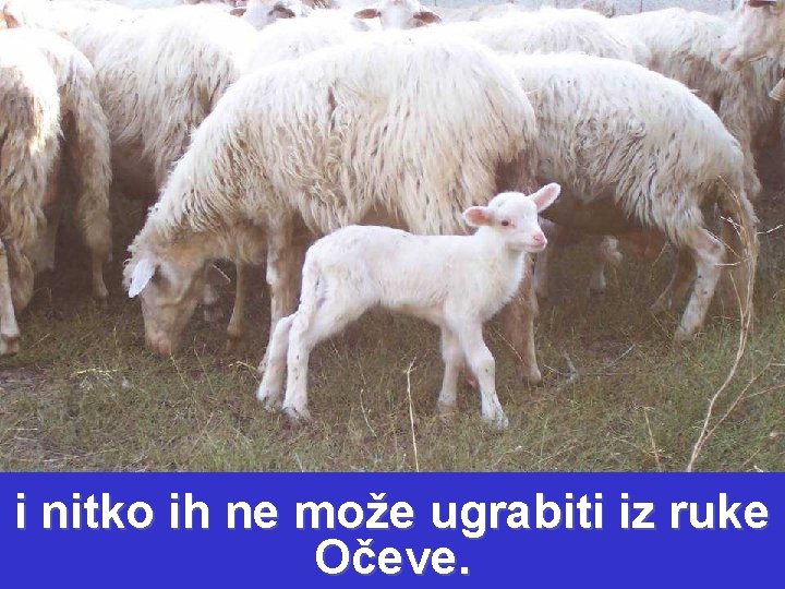 i nitko ih ne može ugrabiti iz ruke Očeve. 