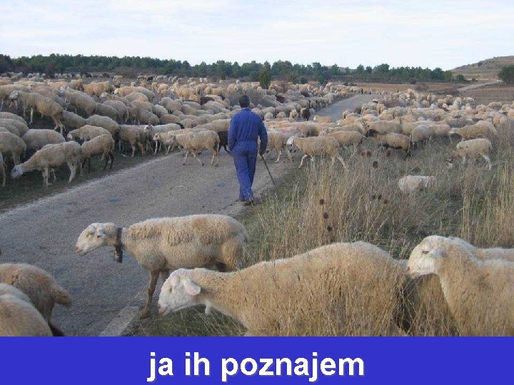 ja ih poznajem 