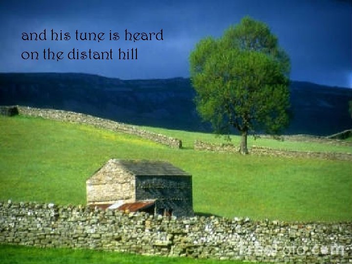 and his tune is heard on the distant hill 