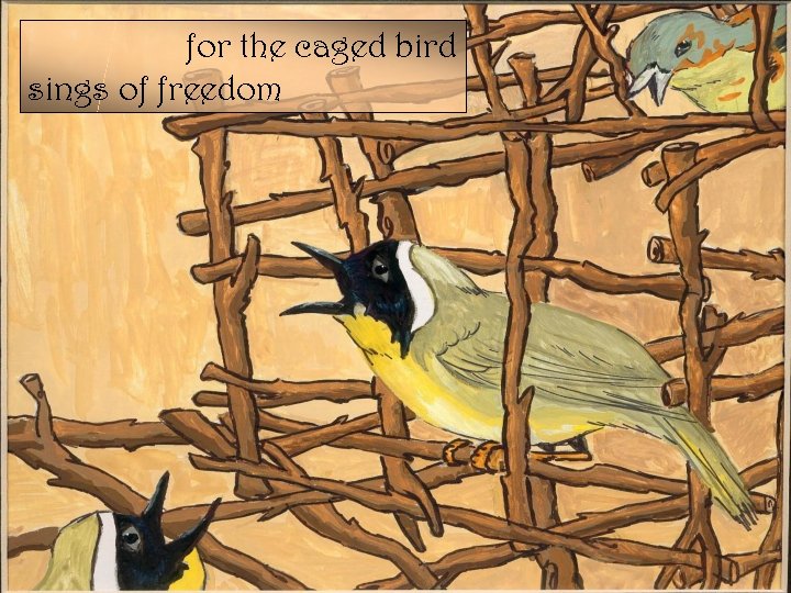 for the caged bird sings of freedom 