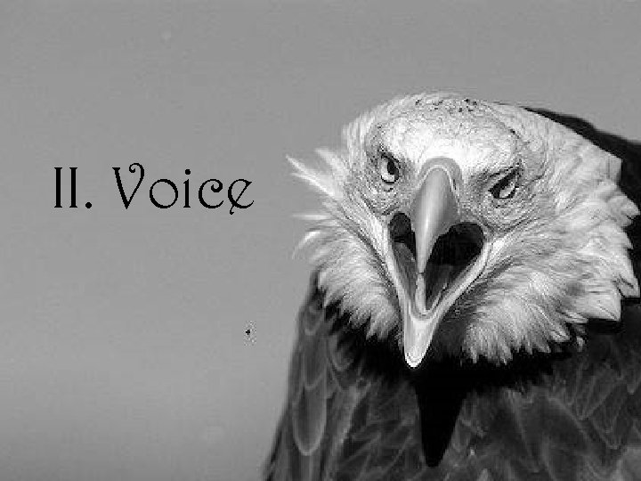 II. Voice 