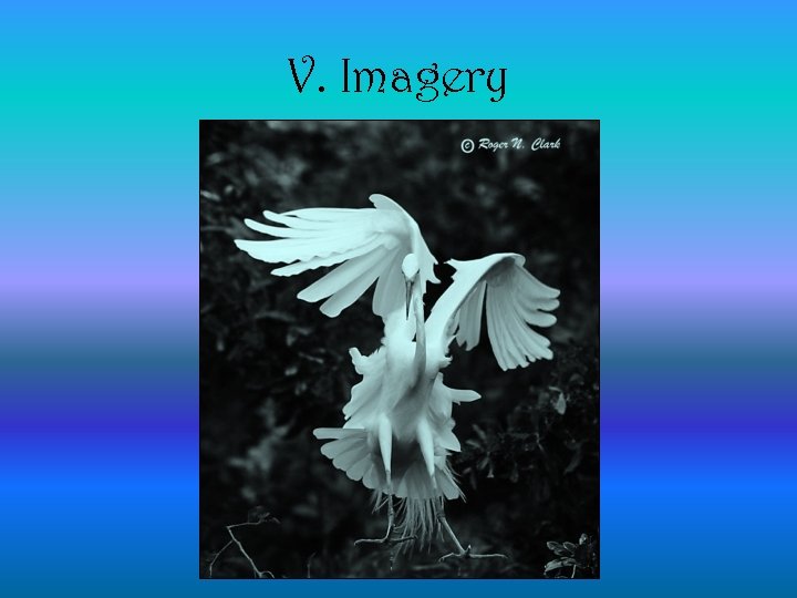 V. Imagery 