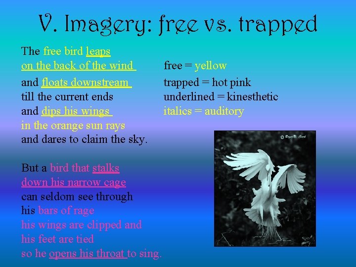 V. Imagery: free vs. trapped The free bird leaps on the back of the