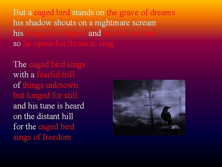 But a caged bird stands on the grave of dreams his shadow shouts on