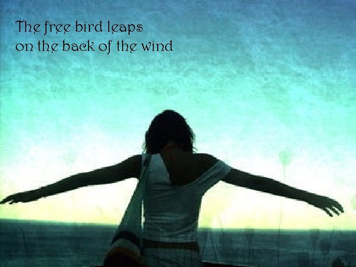 The free bird leaps on the back of the wind 