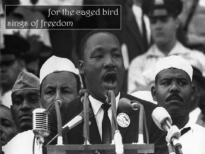 for the caged bird sings of freedom 